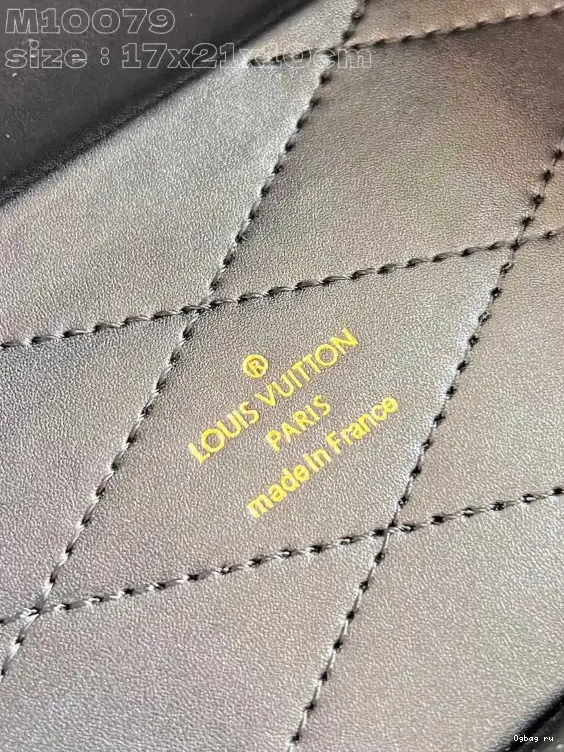 VUITTON Canvas Monogram Camera LOUIS Box 0510
